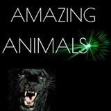 Amazing Animals – Heythrop Zoological Gardens Ltd