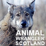 Animal Wrangler Scotland