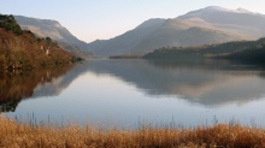 Eternal Beauty gears up