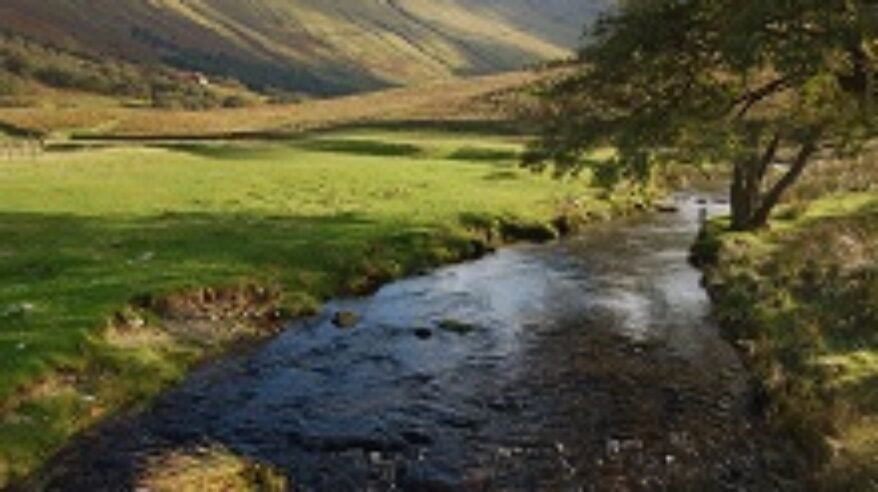 Dramas and comedies filming this week