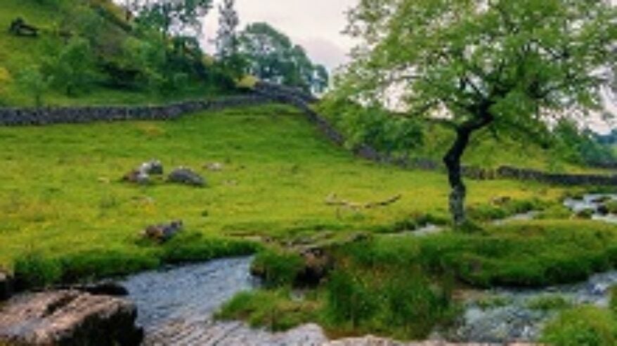 All Creatures Great and Small gears up