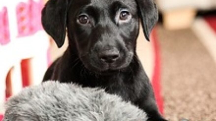 BBC Two orders factual double