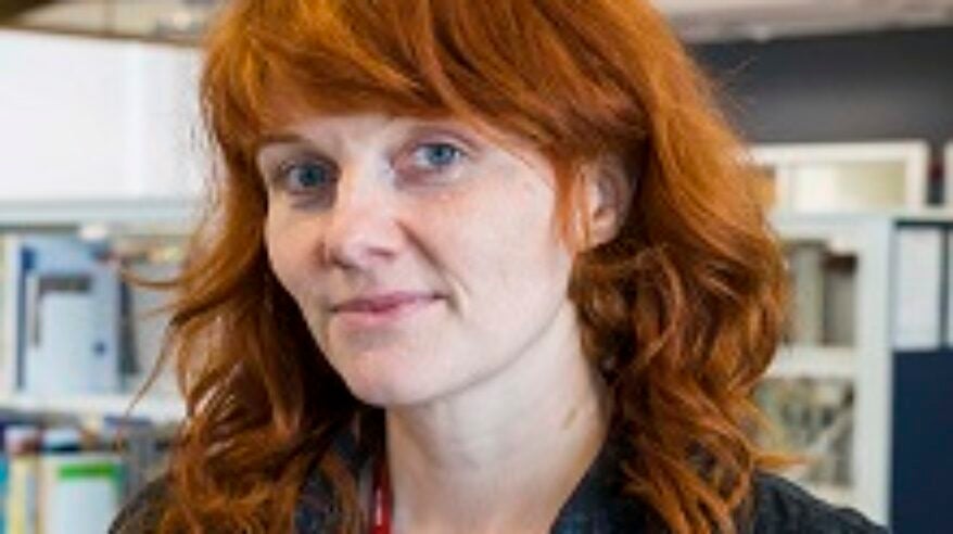 BBC Two commissions new comedy Henpocalypse!