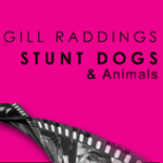 Stunt Dogs & Animals Ltd