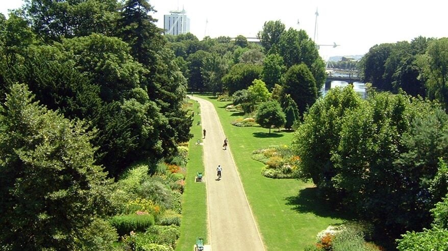 Semi-aerial shot of Bute Park, Cardiff, with a wide path down the centre and trees and grass either side